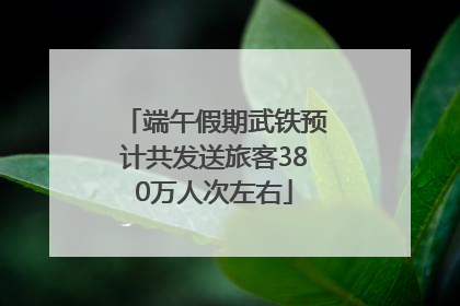 端午假期武铁预计共发送旅客380万人次左右
