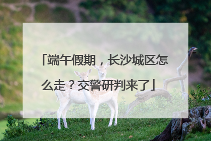端午假期，长沙城区怎么走？交警研判来了