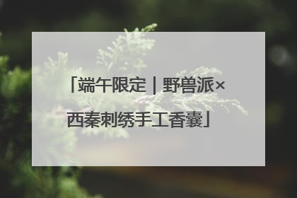 端午限定｜野兽派×西秦刺绣手工香囊
