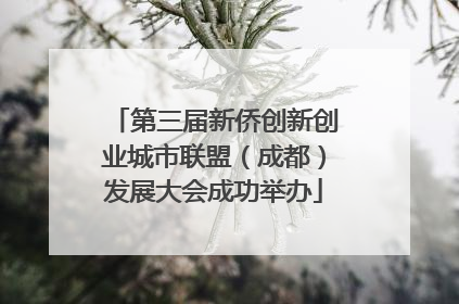 第三届新侨创新创业城市联盟（成都）发展大会成功举办