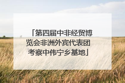 第四届中非经贸博览会非洲外宾代表团考察中伟宁乡基地