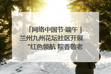 网络中国节·端午｜兰州九州花坛社区开展“红色领航 粽香敬老”端午主题活动