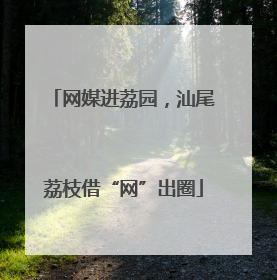 网媒进荔园，汕尾荔枝借“网”出圈