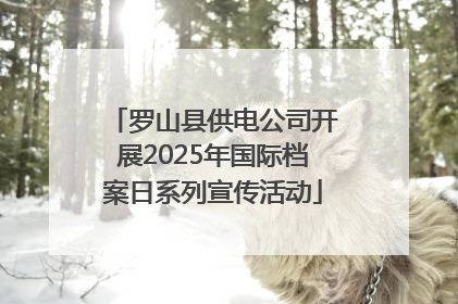罗山县供电公司开展2025年国际档案日系列宣传活动