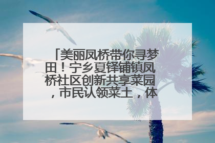 美丽凤桥带你寻梦田！宁乡夏铎铺镇凤桥社区创新共享菜园，市民认领菜土，体验耕种收获乐趣