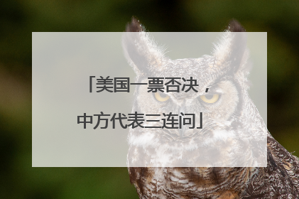 美国一票否决，中方代表三连问