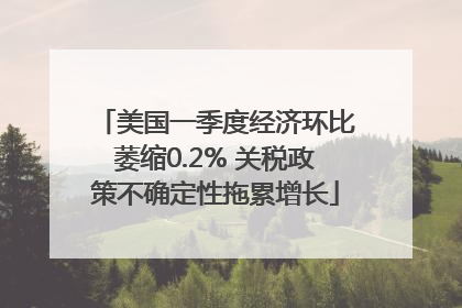 美国一季度经济环比萎缩0.2% 关税政策不确定性拖累增长