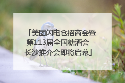 美团闪电仓招商会暨第113届全国糖酒会长沙推介会即将启幕