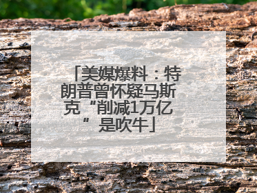 美媒爆料：特朗普曾怀疑马斯克“削减1万亿”是吹牛