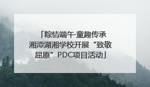 粽情端午·童趣传承 湘潭湖湘学校开展“致敬屈原”PDC项目活动