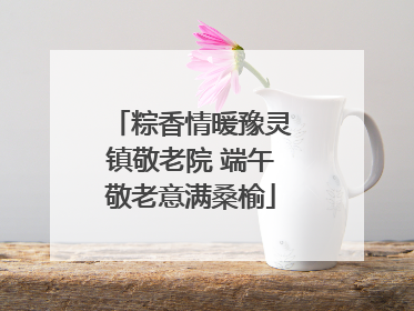 粽香情暖豫灵镇敬老院 端午敬老意满桑榆