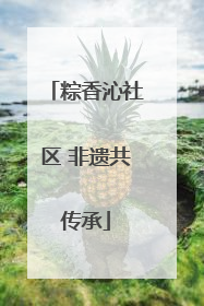 粽香沁社区 非遗共传承