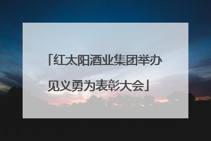 红太阳酒业集团举办见义勇为表彰大会