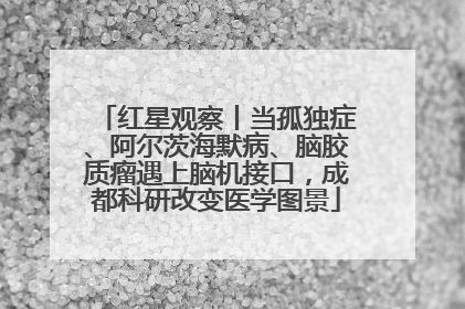红星观察丨当孤独症、阿尔茨海默病、脑胶质瘤遇上脑机接口，成都科研改变医学图景