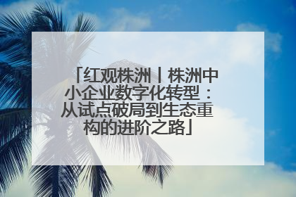 红观株洲丨株洲中小企业数字化转型：从试点破局到生态重构的进阶之路
