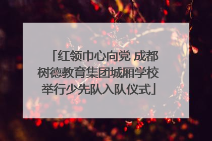红领巾心向党 成都树德教育集团城厢学校举行少先队入队仪式