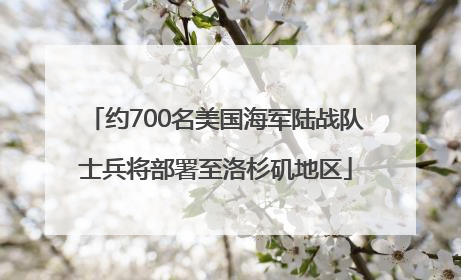 约700名美国海军陆战队士兵将部署至洛杉矶地区