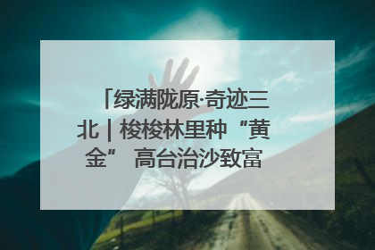 绿满陇原·奇迹三北｜梭梭林里种“黄金” 高台治沙致富很“从容”