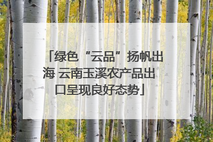 绿色“云品”扬帆出海 云南玉溪农产品出口呈现良好态势
