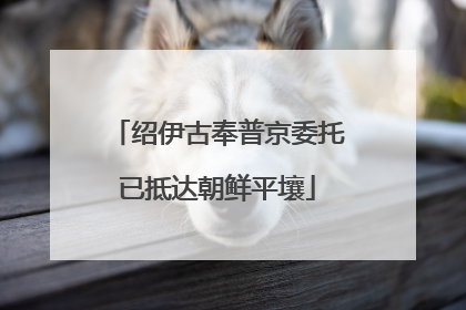 绍伊古奉普京委托已抵达朝鲜平壤