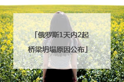 俄罗斯1天内2起桥梁坍塌原因公布