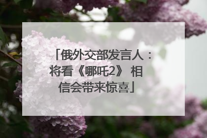 俄外交部发言人：将看《哪吒2》 相信会带来惊喜