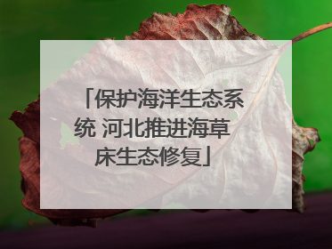 保护海洋生态系统 河北推进海草床生态修复