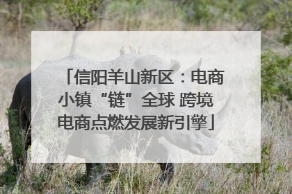 信阳羊山新区：电商小镇“链”全球 跨境电商点燃发展新引擎