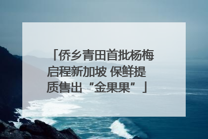 侨乡青田首批杨梅启程新加坡 保鲜提质售出“金果果”