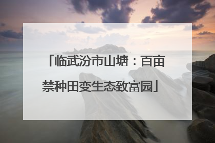 临武汾市山塘：百亩禁种田变生态致富园