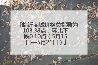 临沂商城价格总指数为103.38点，环比下跌0.10点（5月15日—5月21日）