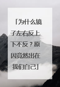 为什么镜子左右反上下不反？原因竟然出在我们自己