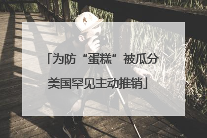 为防“蛋糕”被瓜分 美国罕见主动推销