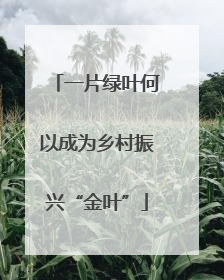 一片绿叶何以成为乡村振兴“金叶”