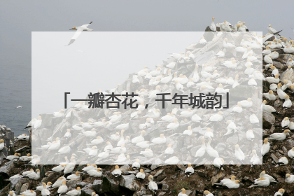 一瓣杏花，千年城韵