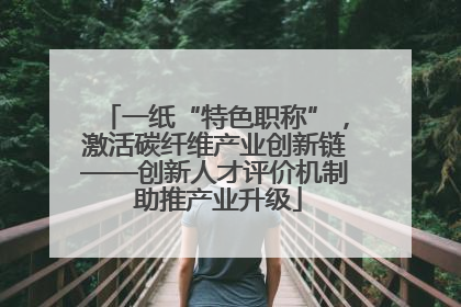 一纸“特色职称”，激活碳纤维产业创新链——创新人才评价机制 助推产业升级
