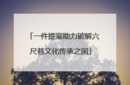 一件提案助力破解六尺巷文化传承之困