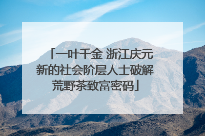 一叶千金 浙江庆元新的社会阶层人士破解荒野茶致富密码