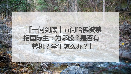 一问到底｜五问哈佛被禁招国际生：为哪般？是否有转机？学生怎么办？