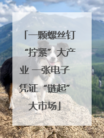 一颗螺丝钉“拧紧”大产业 一张电子凭证“链起”大市场