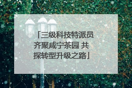 三级科技特派员齐聚咸宁茶园 共探转型升级之路