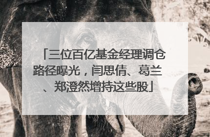 三位百亿基金经理调仓路径曝光，闫思倩、葛兰、郑澄然增持这些股