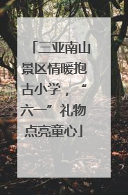 三亚南山景区情暖抱古小学，“六一”礼物点亮童心