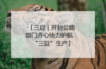 三夏｜开封公路部门齐心协力护航“三夏”生产