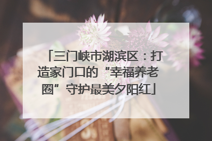 三门峡市湖滨区：打造家门口的“幸福养老圈”守护最美夕阳红