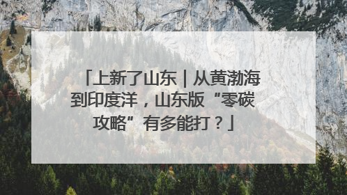 上新了山东｜从黄渤海到印度洋，山东版“零碳攻略”有多能打？