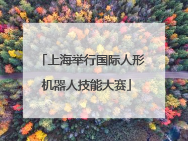 上海举行国际人形机器人技能大赛