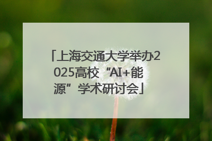 上海交通大学举办2025高校“AI+能源”学术研讨会