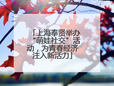 上海奉贤举办“萌娃社交”活动，为青春经济注入新活力