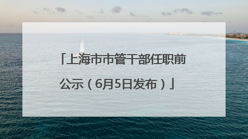 上海市市管干部任职前公示（6月5日发布）